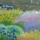 보라매동-33 이미지