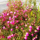 연희노인문화센터 이미지