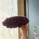 [대구] 왕거미식당 금요일 웨이팅 솔직 후기