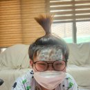 늘푸른비뇨기과의원 | b형 독감, 충주 늘푸른소아과,주말진료 소아과