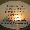 돼지개띠 이미지