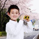 가족레저 체험코스 이미지