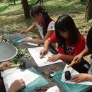 의림초등학교 이미지