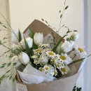 플로라움floraum 네이버블로그