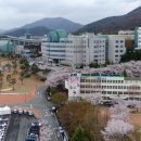 대구한의대학교 이미지