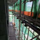 대나무는 불쏘시개로 활용한다 이미지