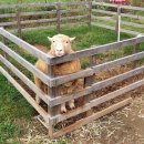 지후농장 이미지