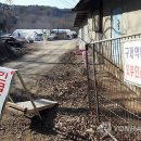 계룡 농장 이미지