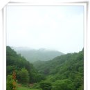 제086회(2006.05.27.土)-지리산방곡봉(0775.0) [방곡리~방곡리]