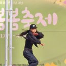 와이에스앤