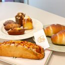 단트(DANT)