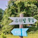 부대목장 이미지