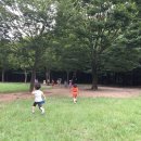 학봉초교병설유치원 이미지