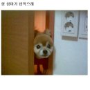 밥묵쟈
