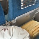 (주)에이씨알코리아 | 🥔🌰🌽목포 다녀온 작물들🥔🌰🌽