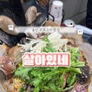 울산 병영 조개구이 맛집 살아있네 솔직후기