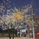 장자대로 이미지