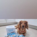 마루덴탈 이미지