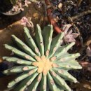 관용농장 이미지