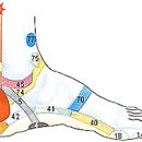 발바닥 통증(족저근막염),발뒤꿈치 각질,생리통,발목 염좌 관리법 이미지