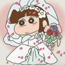 더 김도연 | [웨딩플래너] 플래너 예약후기, 업체, 비용, 찾는법 (베리굿 김도연)