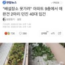 &#34;배설장소 못가려&#34; 아파트 9층에서 애완견 2마리 던진 40대 입건 이미지