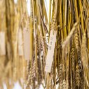 황금누리농장 이미지