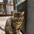 오라카이 청계산호텔 사우나 이미지