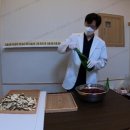 주성한의원 티스토리