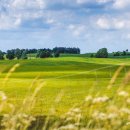 컴퓨터마을 이미지