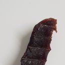 댕댕이 만찬 이미지