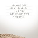 네바에 이미지