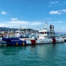 완도12호 이미지