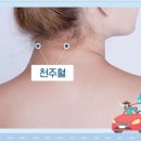 창원 당당한방병원 이미지