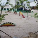 필애견훈련학교 이미지