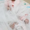 알콩달콩 스킨십놀이 이미지