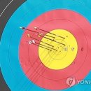스토리스포츠