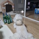친구네집 이미지