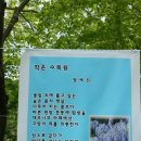 아름다운농장비밀의화원 이미지