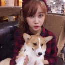 흠