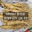 미르인삼사
