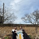 호랑컴퍼니 이미지