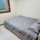 평창자연휴양림 이미지