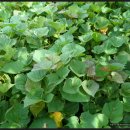 브니엘2농장 이미지