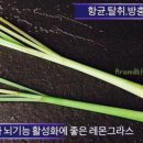 참재미클래스