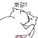 운정고양이호텔 이미지