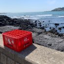 돌담당구장 이미지