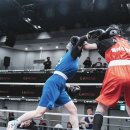 이엑스 복싱(EX BOXING) 이미지