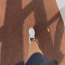 (주)모모스 | 런 위드 윈덤 후기 | 윈덤그랜드 부산 X 모모스커피 모닝런