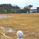 조수골체험휴양마을 이미지